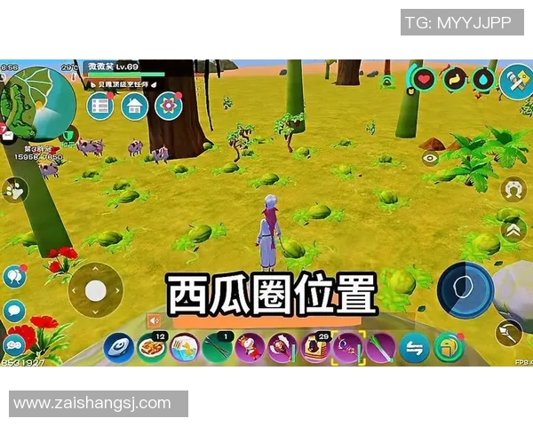 探索CS2PNL魔法斗篷的神秘力量与游戏策略解析